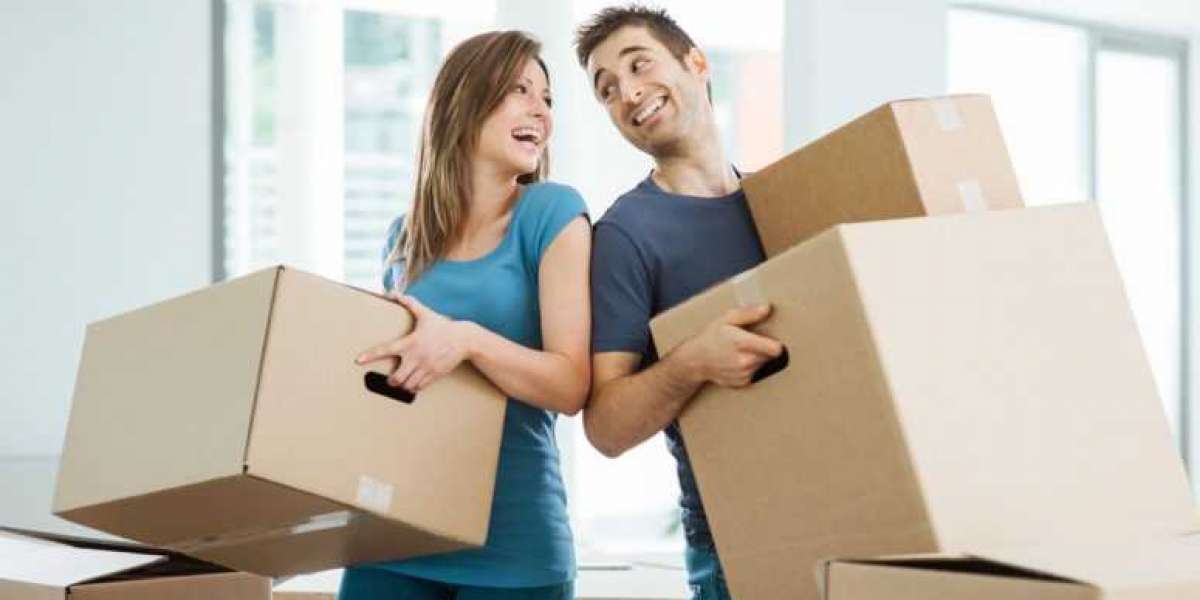 Looking for The Professional Packers And Movers Gottigere?