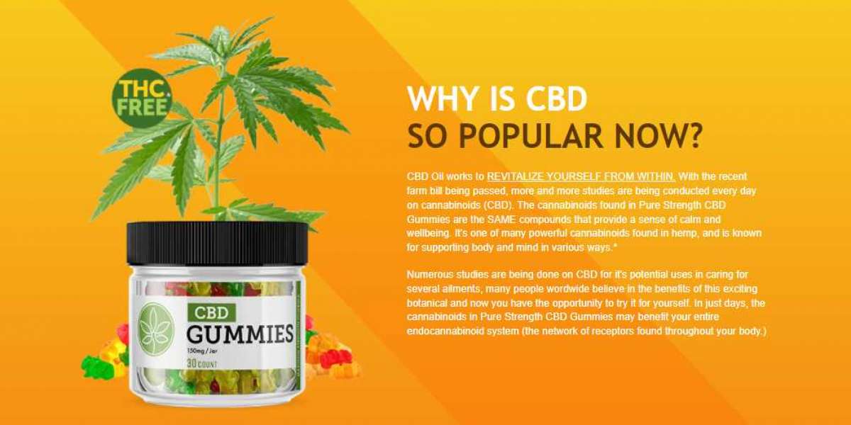 5 Secrets About Katie Couric CBD Gummies That Has Never Been Revealed For The Past 50 Years.