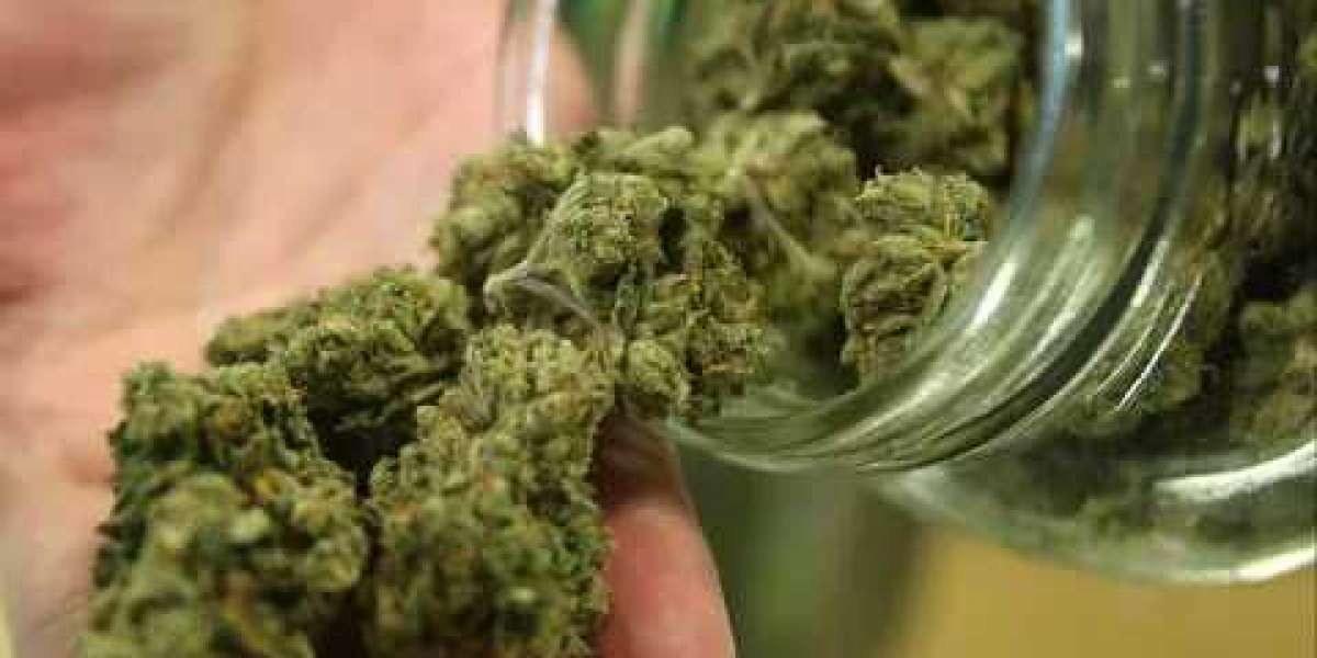 5 Steps On Medical Marijuanas Card In Michigan Online