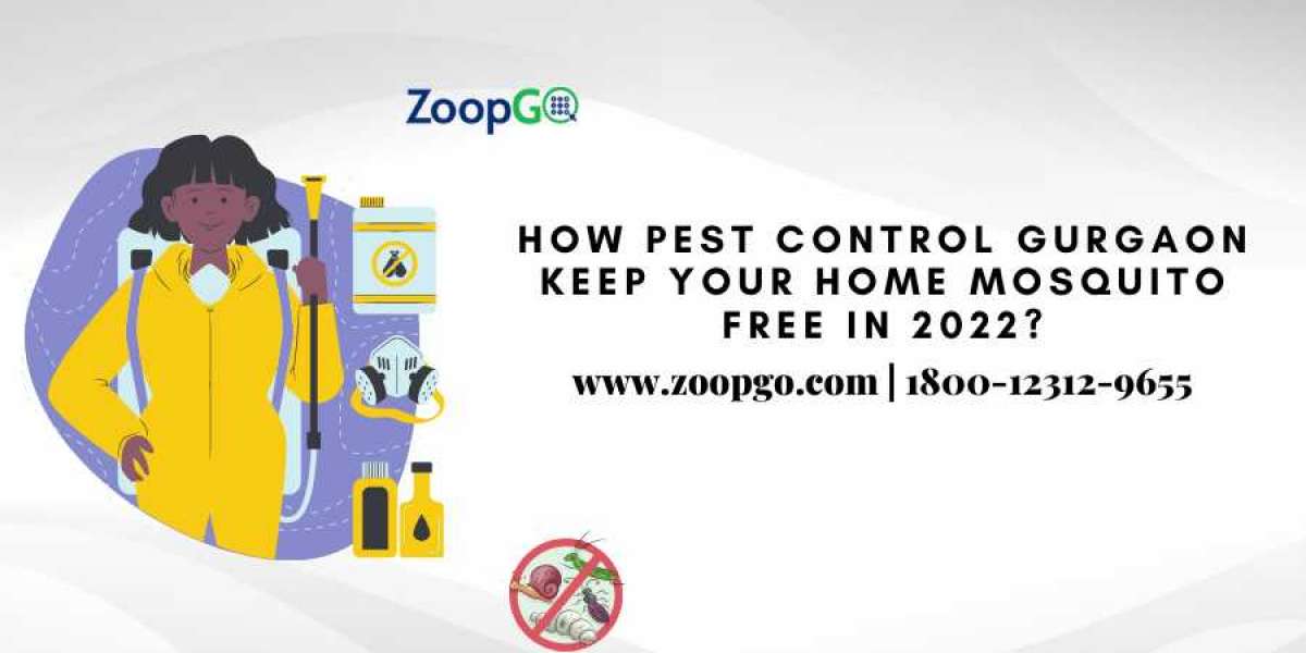 How Pest Control Gurgaon Keep Your Home Mosquito Free in 2022?