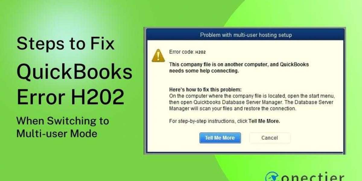 What are the Possible Causes Behind QuickBooks Error H202?