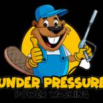 Under Pressure Power Washing Profile Picture