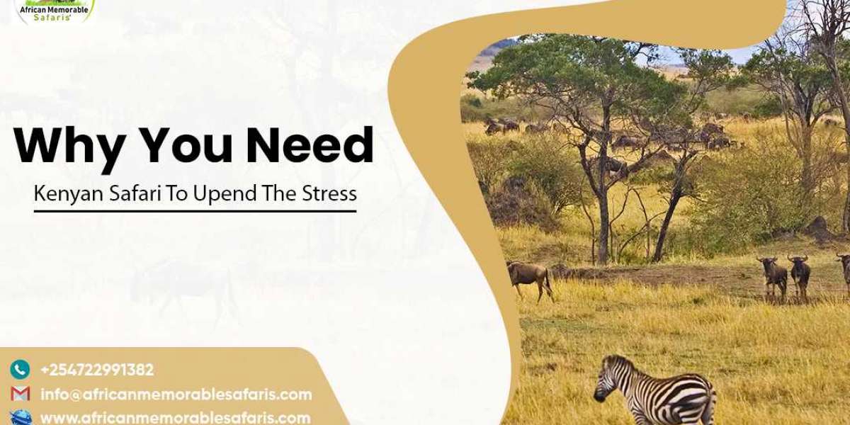 Why You Need Kenyan Safari To Upend The Stress?