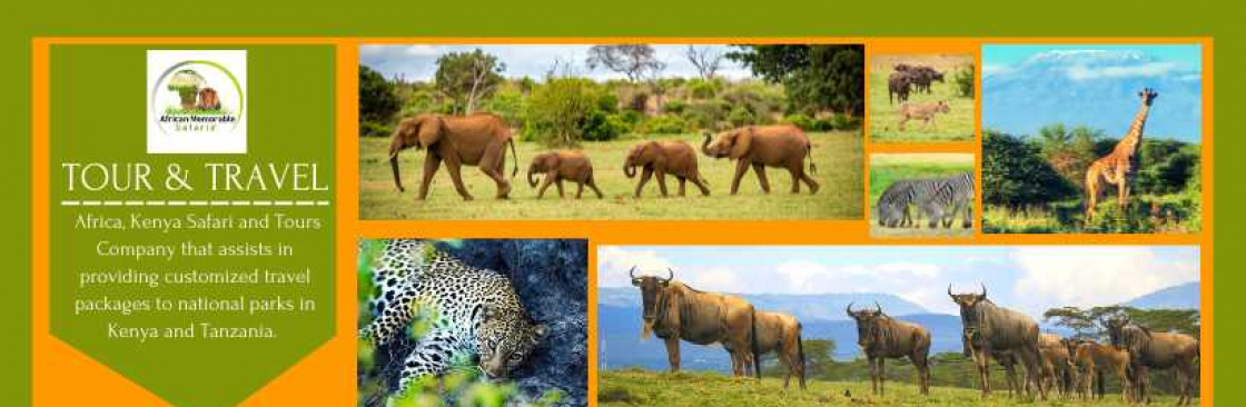 African Memorable Safaris Cover Image
