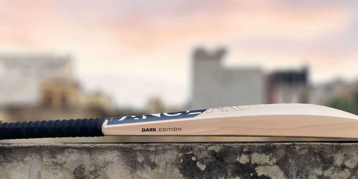 Buy Cricket Bat Online In India Nowadays