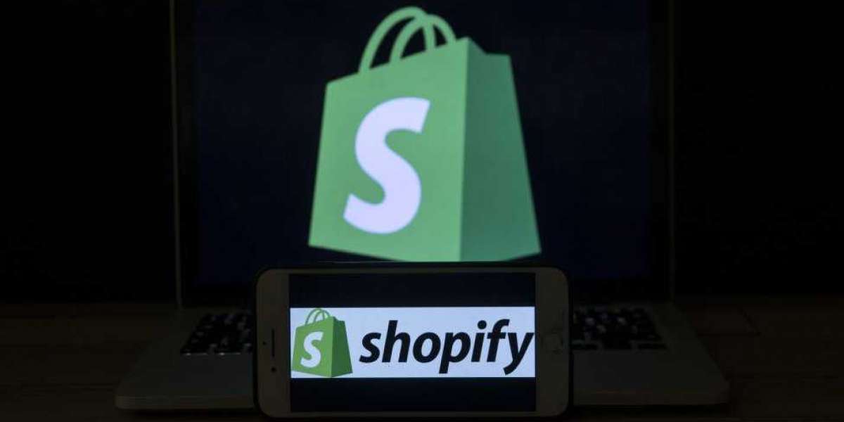 shopify web development company in delhi