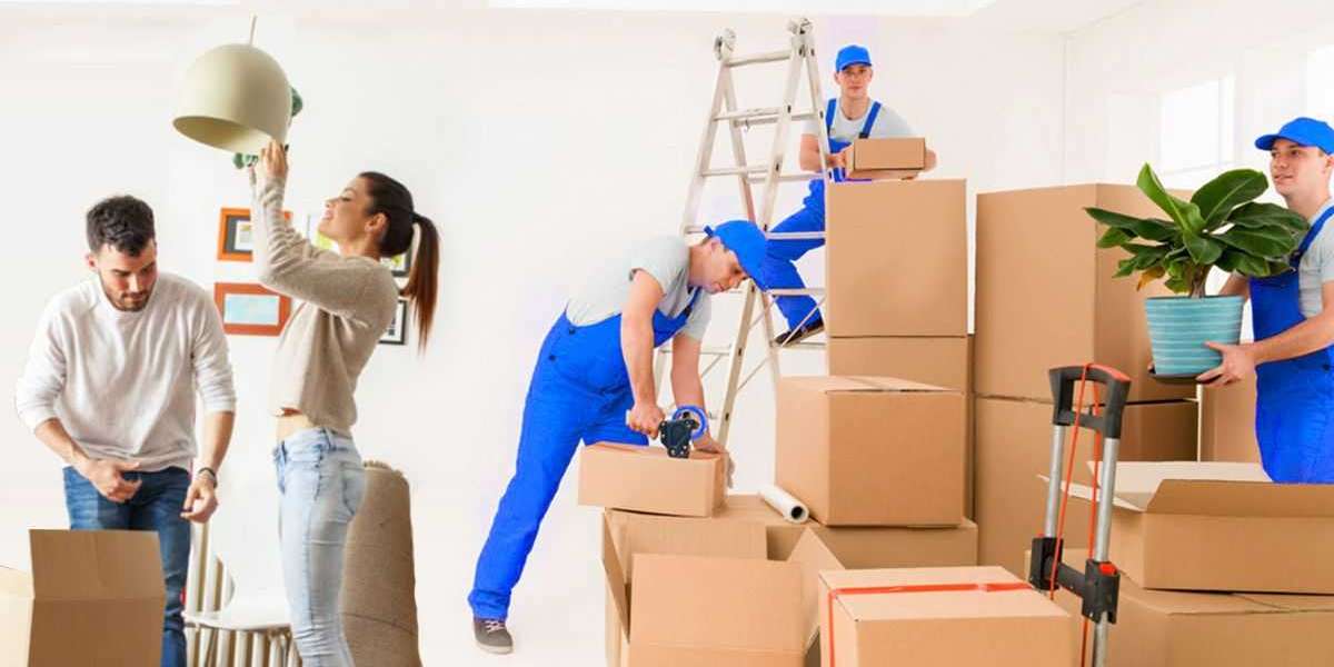 Removalists Cronulla Movers Buddy