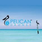 Pelican Drones profile picture