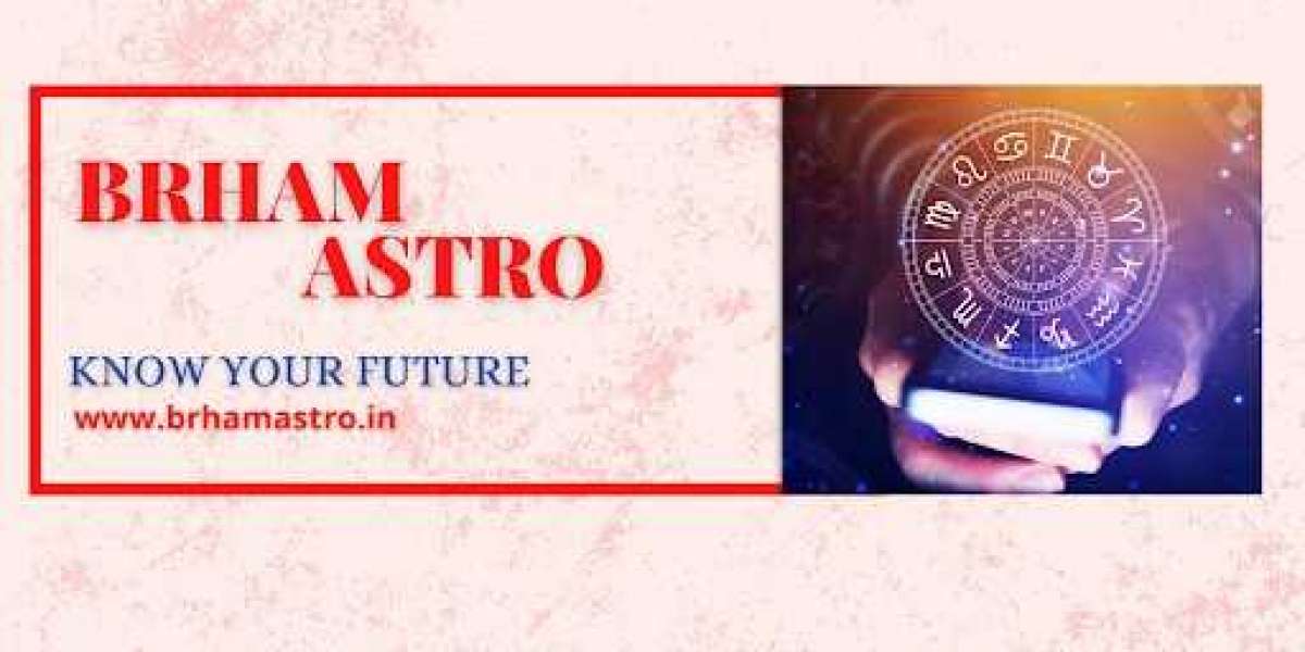 Top Astrologer in Rohini    Brham Astro 