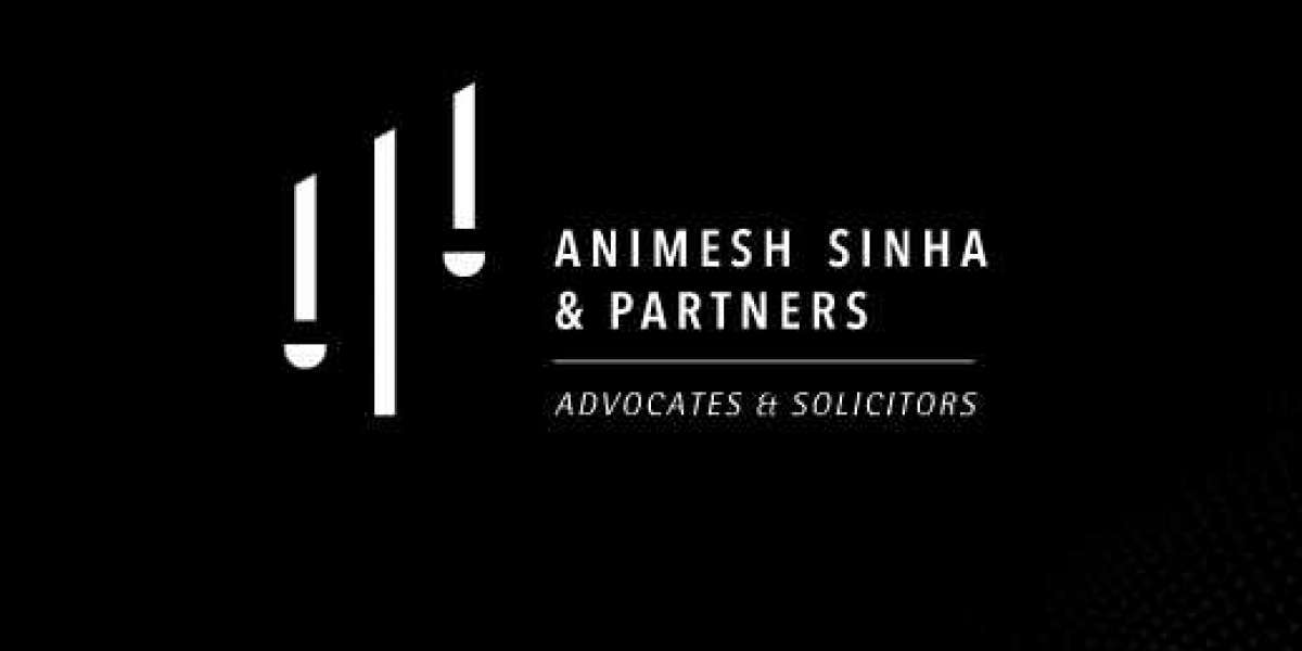 Animesh Sinha & Partners: The Best Lawyers in Delhi - 5 Reasons Why