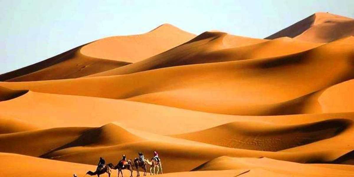 Many Reasons to Choose Tours of Morocco for Your Next Vacation