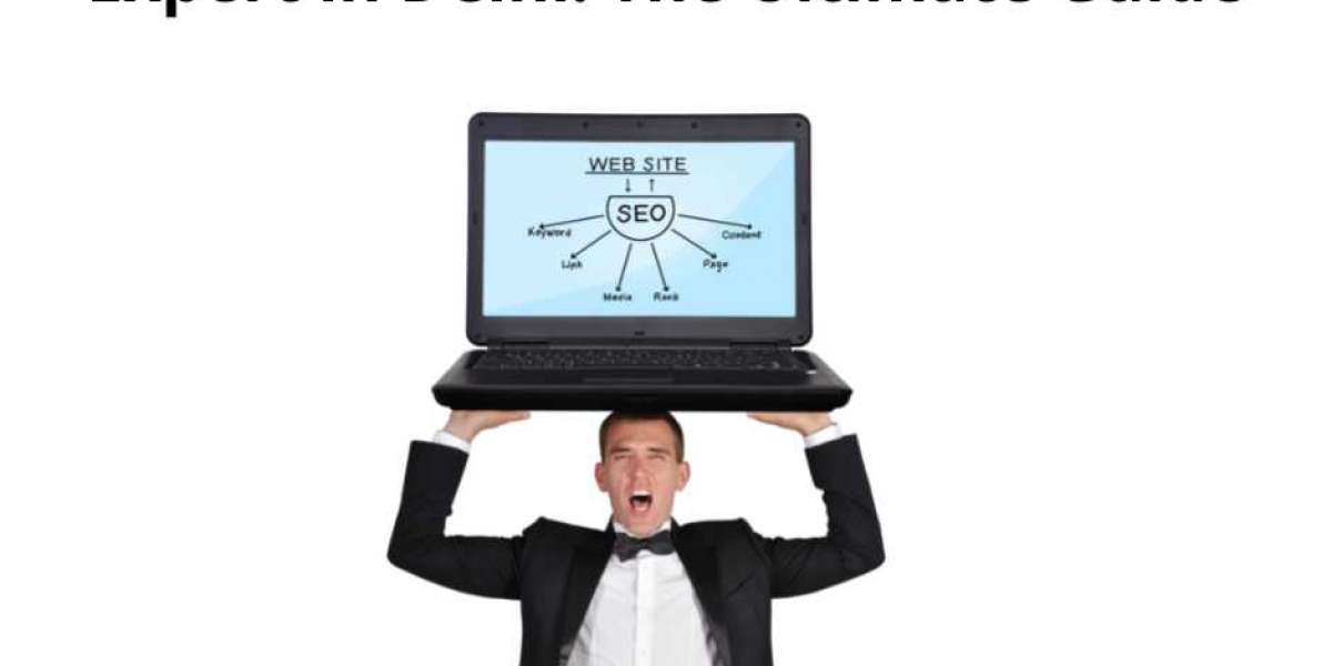 Hiring a Search Engine Optimization Expert in Delhi: The Ultimate Guide