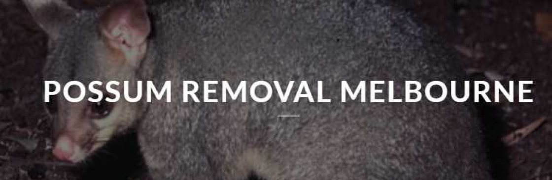 possum removal Cover Image