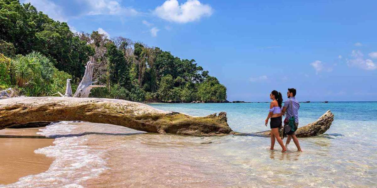 budget tour packages Andaman