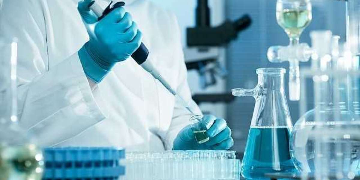Clinical Laboratory Test Market Size, Share, Demand, Overview, Component, Market Revenue, and 2032 Industry Forecast