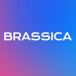 brassicafinseo Profile Picture