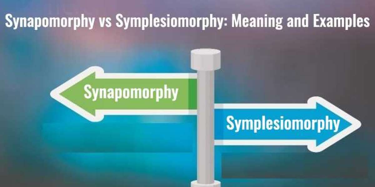 Synapomorphy Vs Symplesiomorphy meaning and example