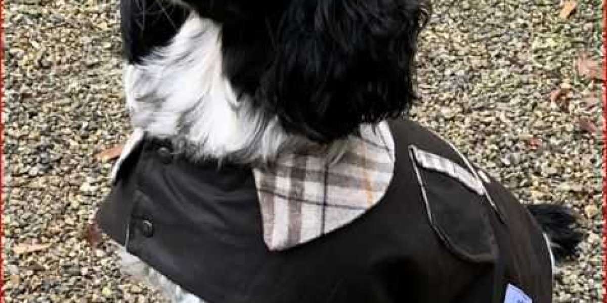 Quality and Usefulness of Barbour Wax Dog Coat