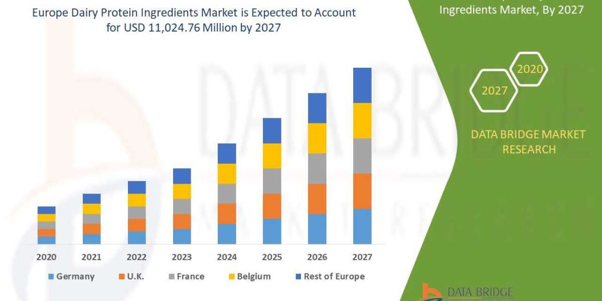 Market Analysis And Growth Of Europe Dairy Protein Ingredients Market