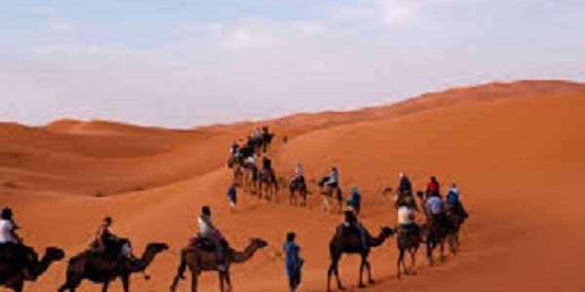 Customized Morocco Tour Operators and Packages Offered