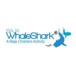 Baja Whale Shark Profile Picture