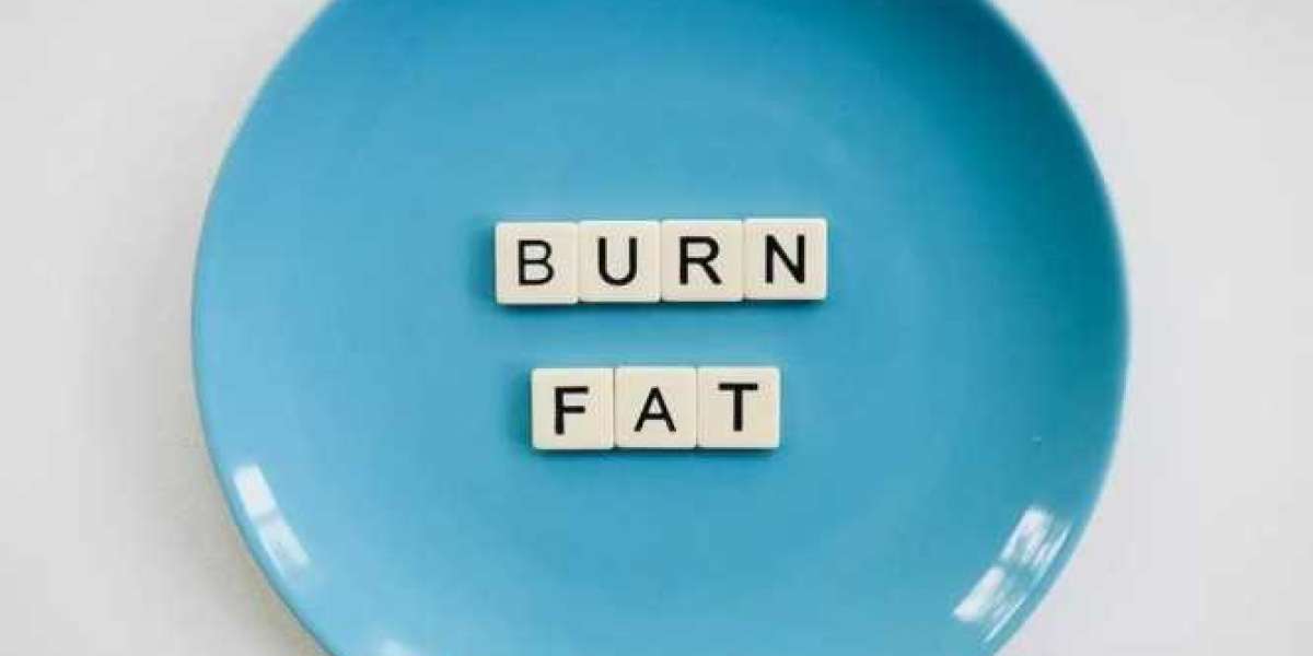 Best Belly Fat Burner: Top Fat-Burning
