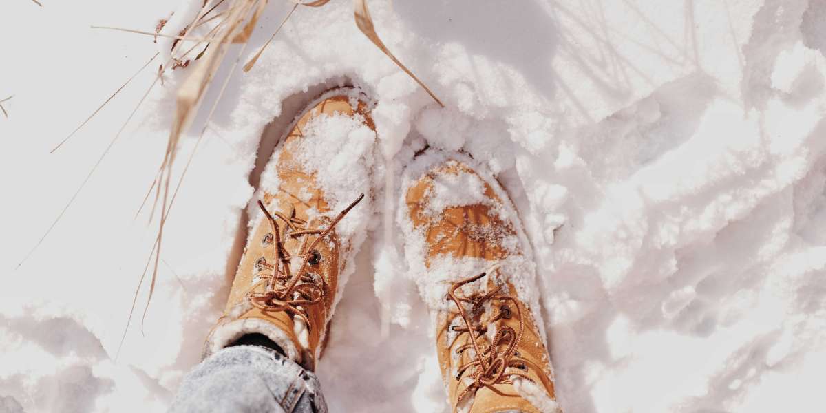 Snow Shoes By Omega Walk.