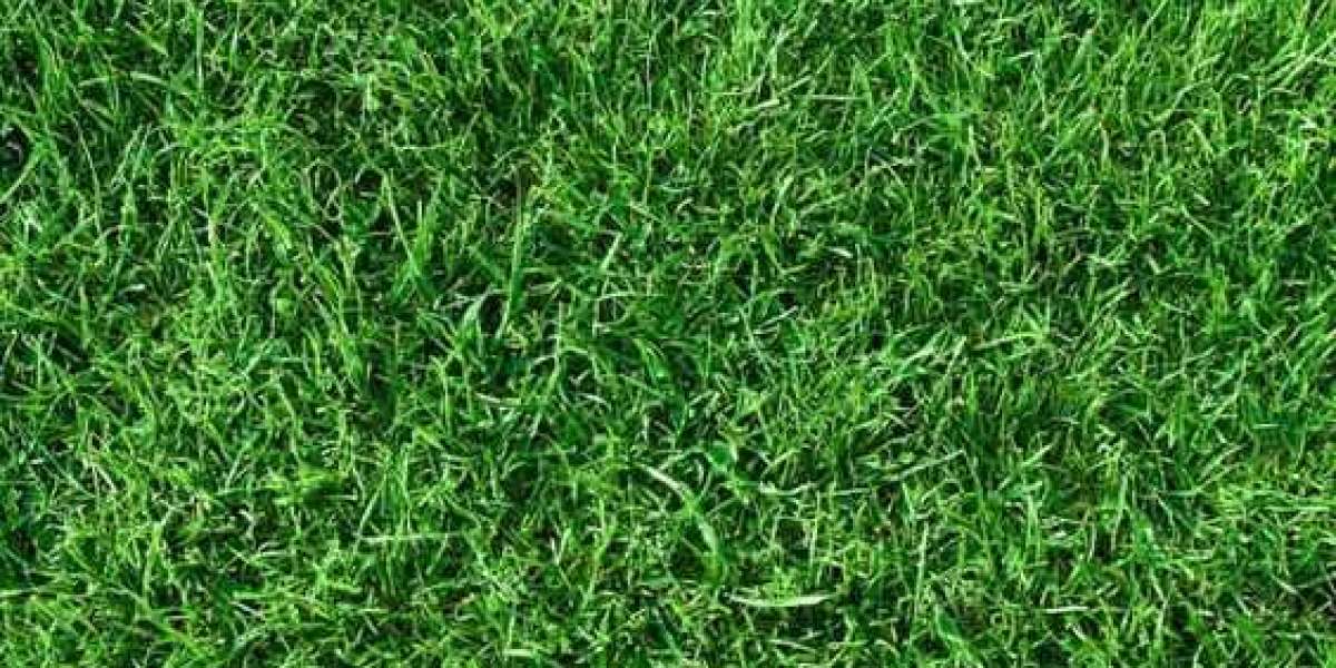 Why Artificial Grass is Commonly Used for Home Decoration in the UAE