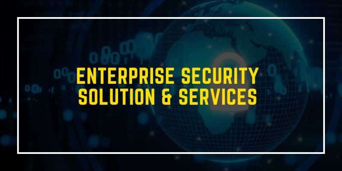 Enterprise Security Solutions & Services