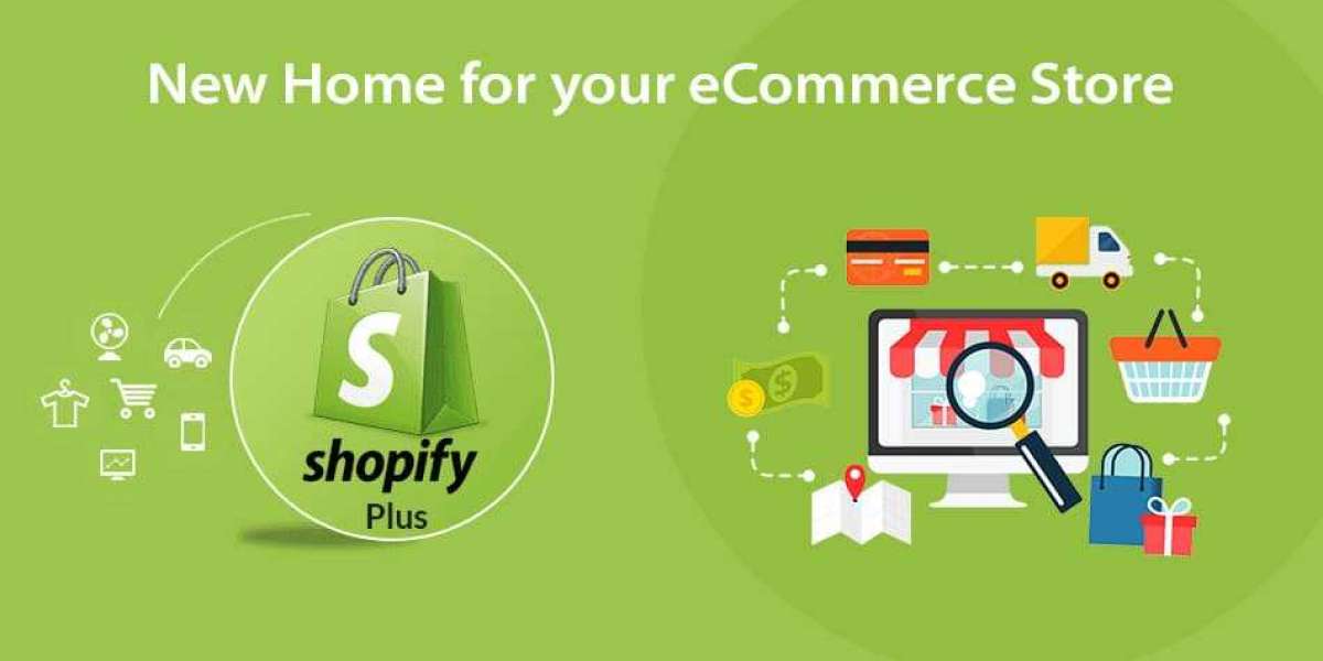 Shopify Support and Maintenance