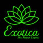 Exotica Gifting profile picture