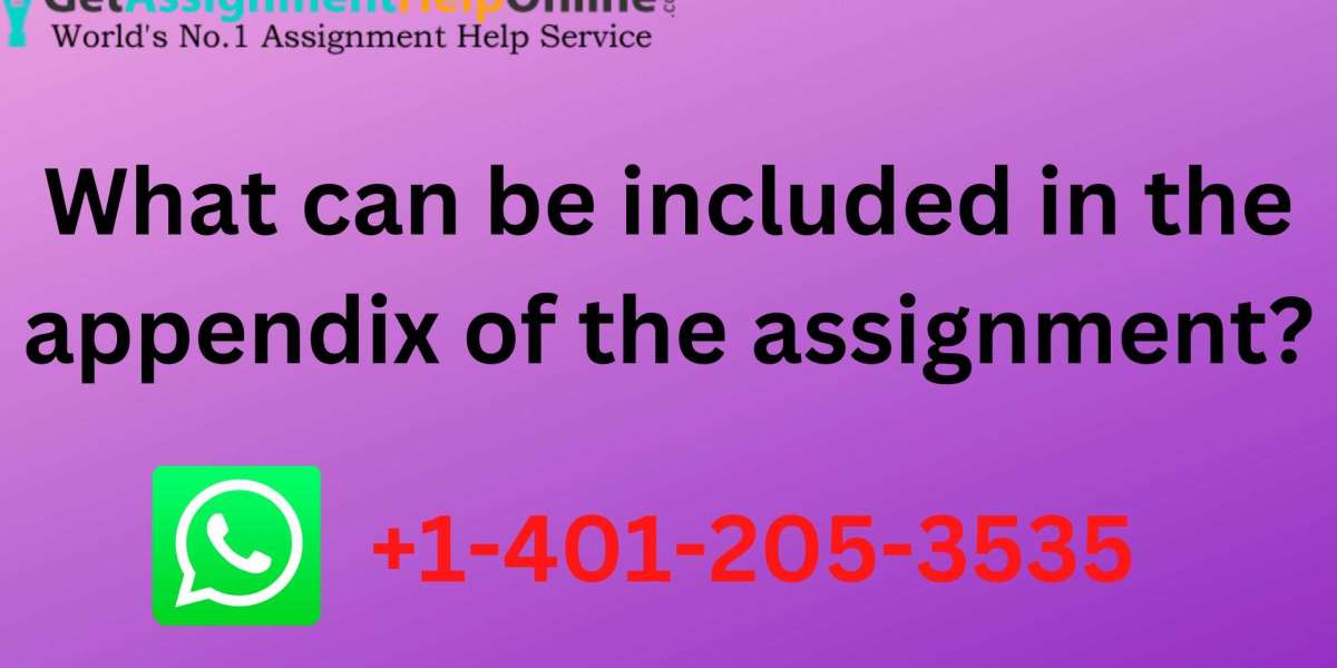 What can be included in the appendix of the assignment?
