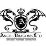Angel Dragons Ltd Profile Picture