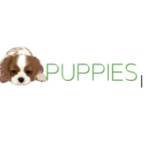 PeacheyFamilyPuppies Profile Picture