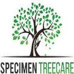 specimentreecare Profile Picture
