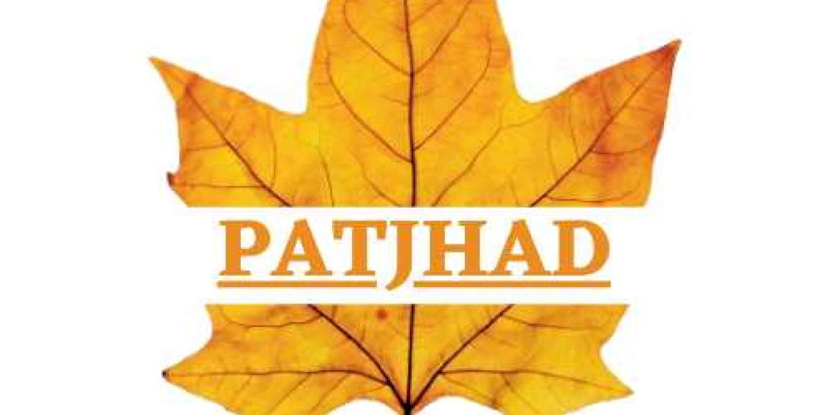 Patjhad - Latest Tips & Stories on Lifestyle, Fashion & More!