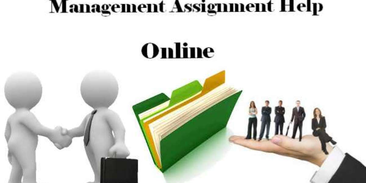 Management Assignment Help Services USA