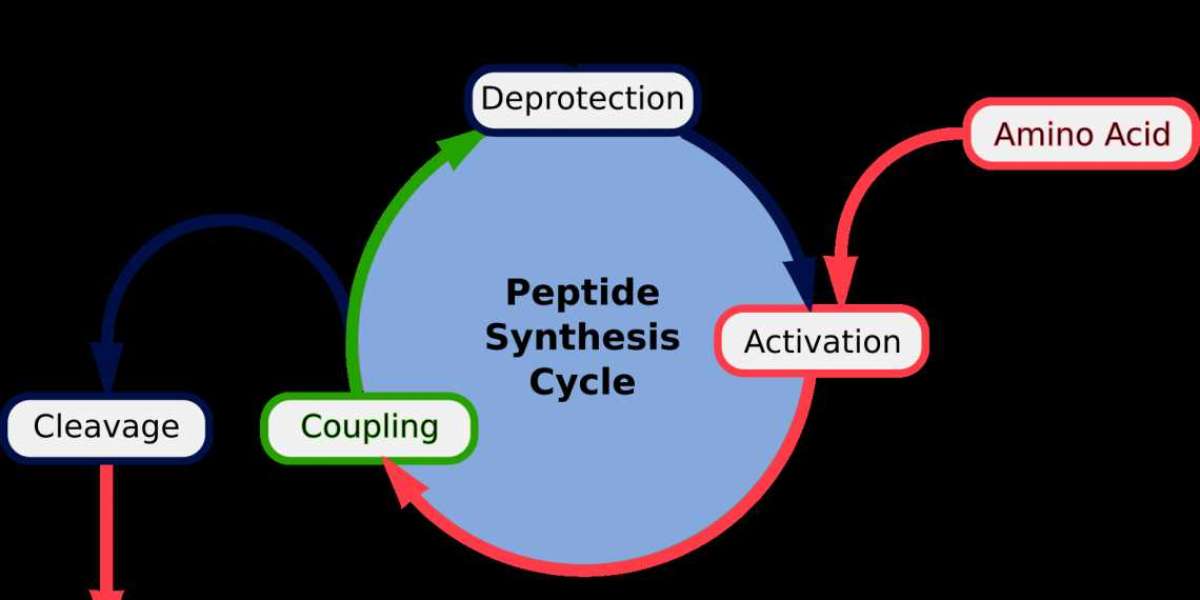 Peptide Synthesis Market Research Report 2021 Forecast 2030