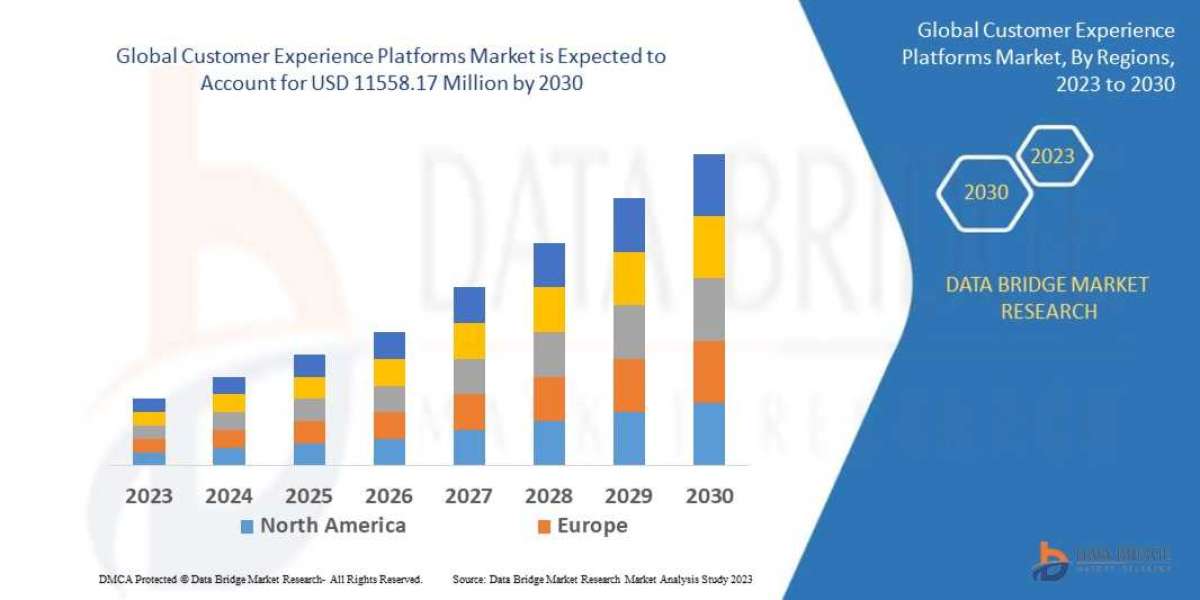 Customer Experience Platforms Market Share, Demand, Top Players, Industry Size, Revenue Analysis, Top Leaders by2030