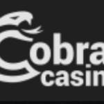 Cobra Casino Online profile picture