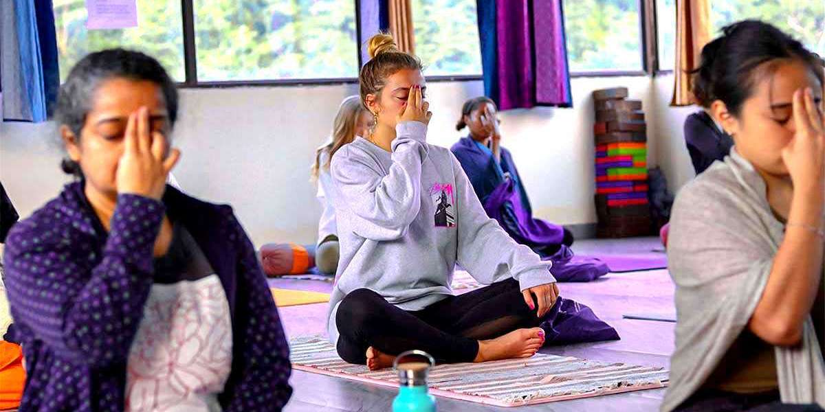 Overview of 300 Hour Yoga Teacher Training in India