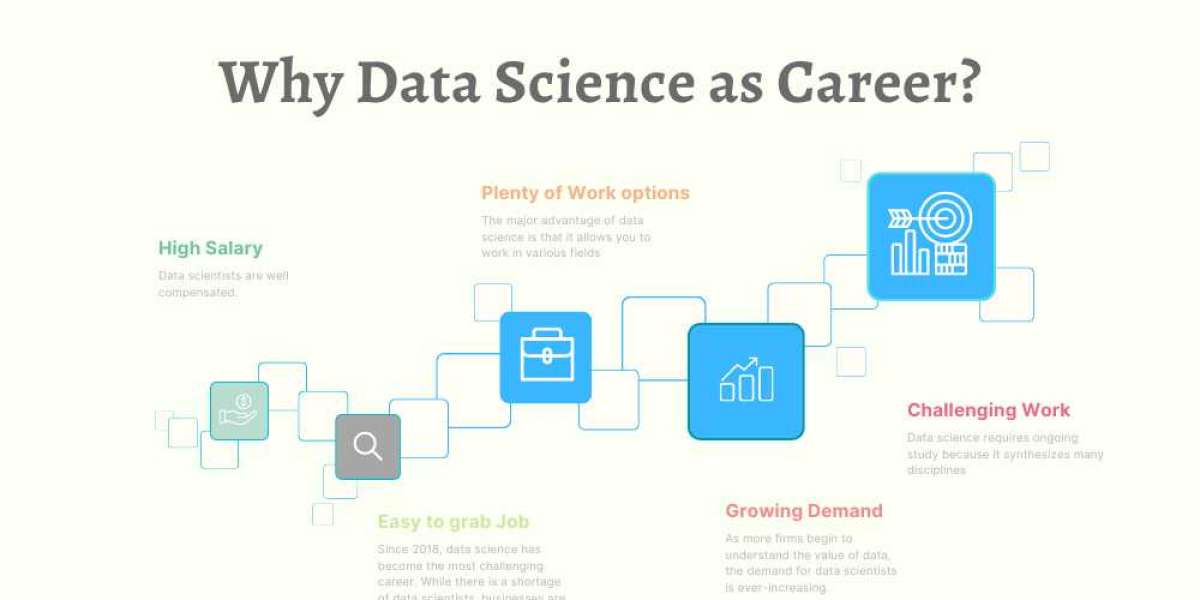 Why One Should Choose Data Science as Their Career