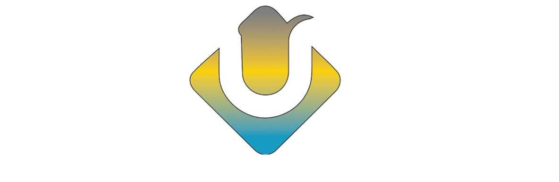 Ultimate Web Designs Cover Image