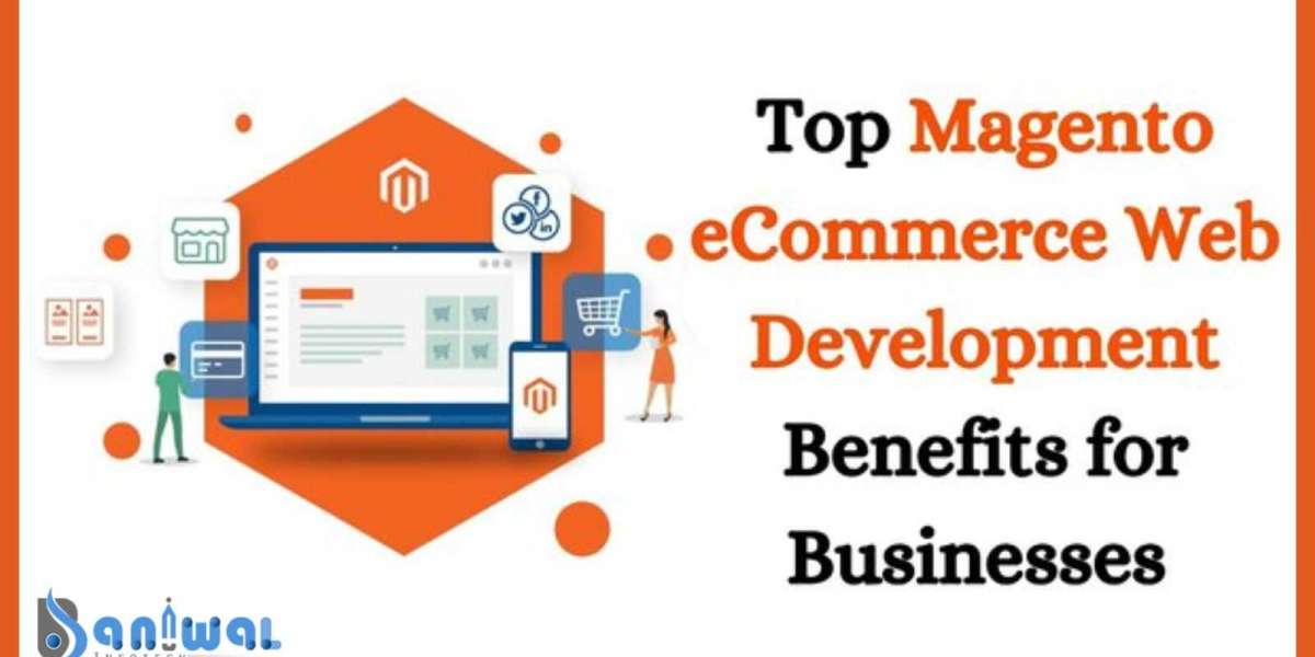What Is Magento? The Popular eCommerce Platform Explained - Baniwal Infotech