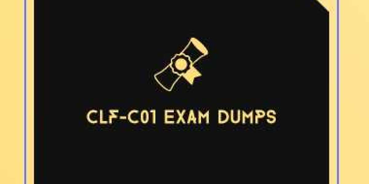 CLF-C01 Exam Dumps Practitioner Exam to help you understand