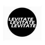 Levitate Sneakers Profile Picture