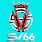 Sv66 profile picture