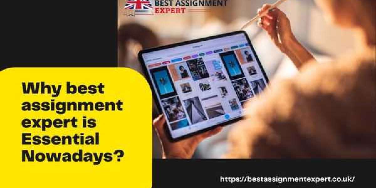 Why best assignment expert is Essential Nowadays?