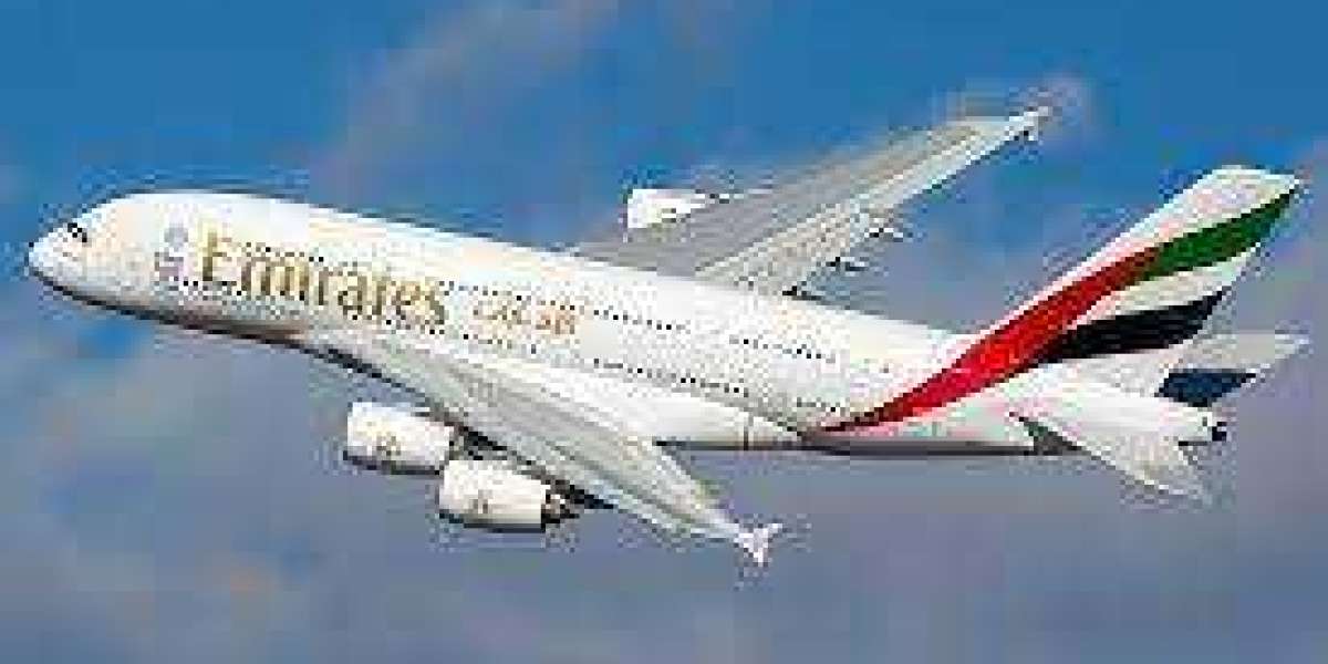 How to Select Seats on Emirates Airlines?