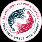 BC Live Spot Prawns Fresh Seafood Profile Picture